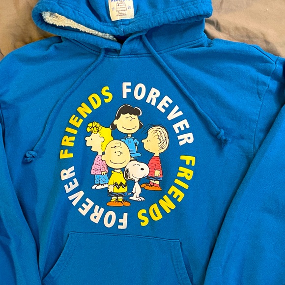 Peanuts Snoopy Charlie Brown Friends Forever Blue Pullover Hoodie Medium - Picture 3 of 4